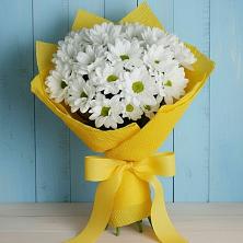 Букет цветов из:  Хризантемы в Заинске