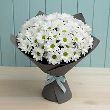 Букет цветов из:  Хризантемы в Заинске