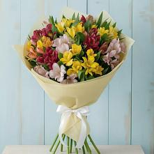 Букет цветов из:  Альстромерии #REPLACE_PRED# Заинске