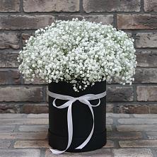 Цветочная композиция из Гипсофила в шляпной коробке в Заинске