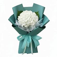 Букет цветов из:  Гортензия #REPLACE_PRED# Заинске